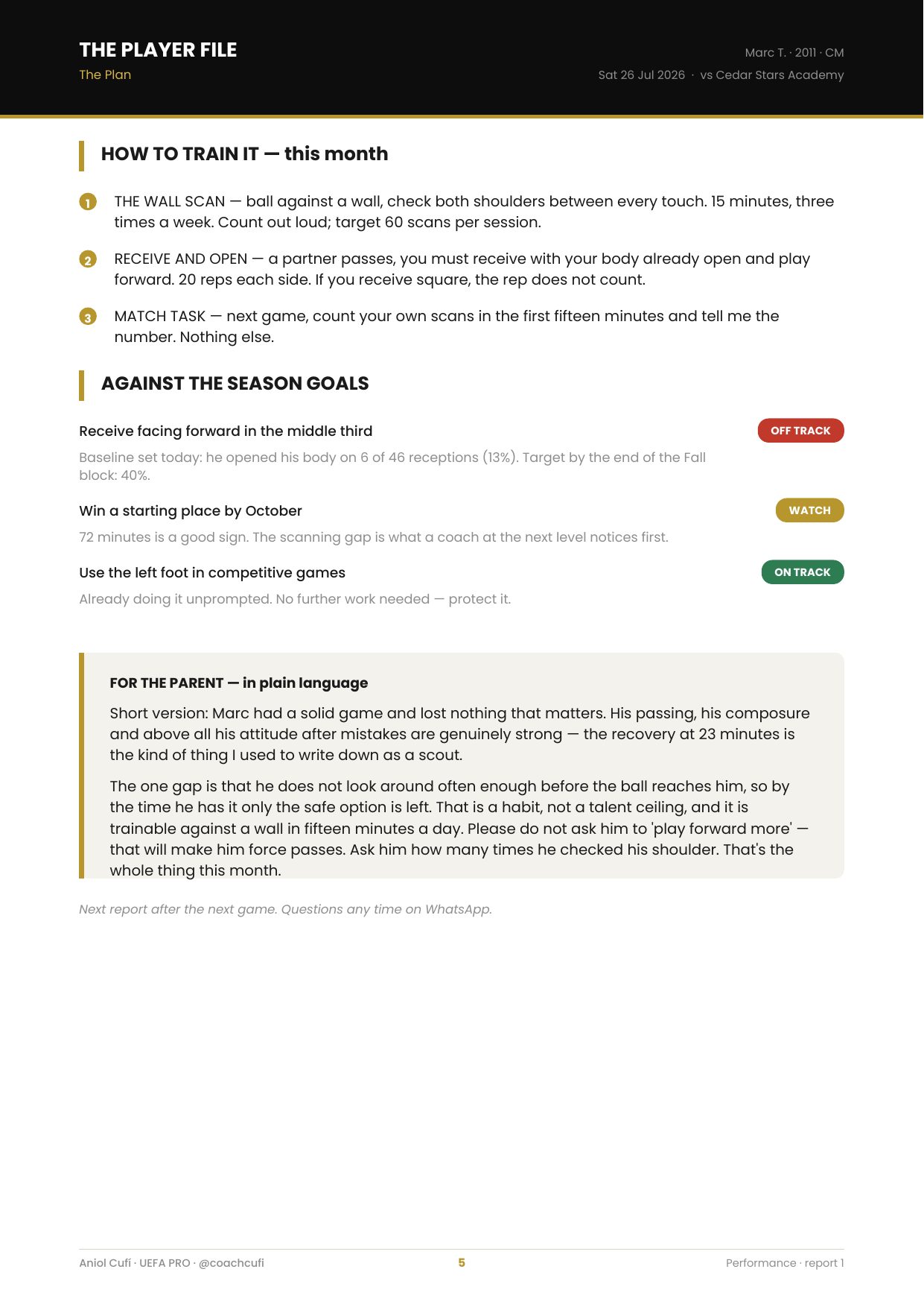 Player File sample page 5